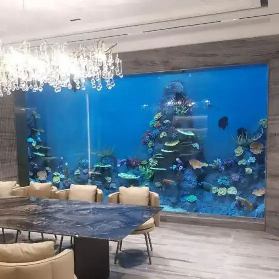Custom saltwater aquarium showcasing coral reef ecosystem