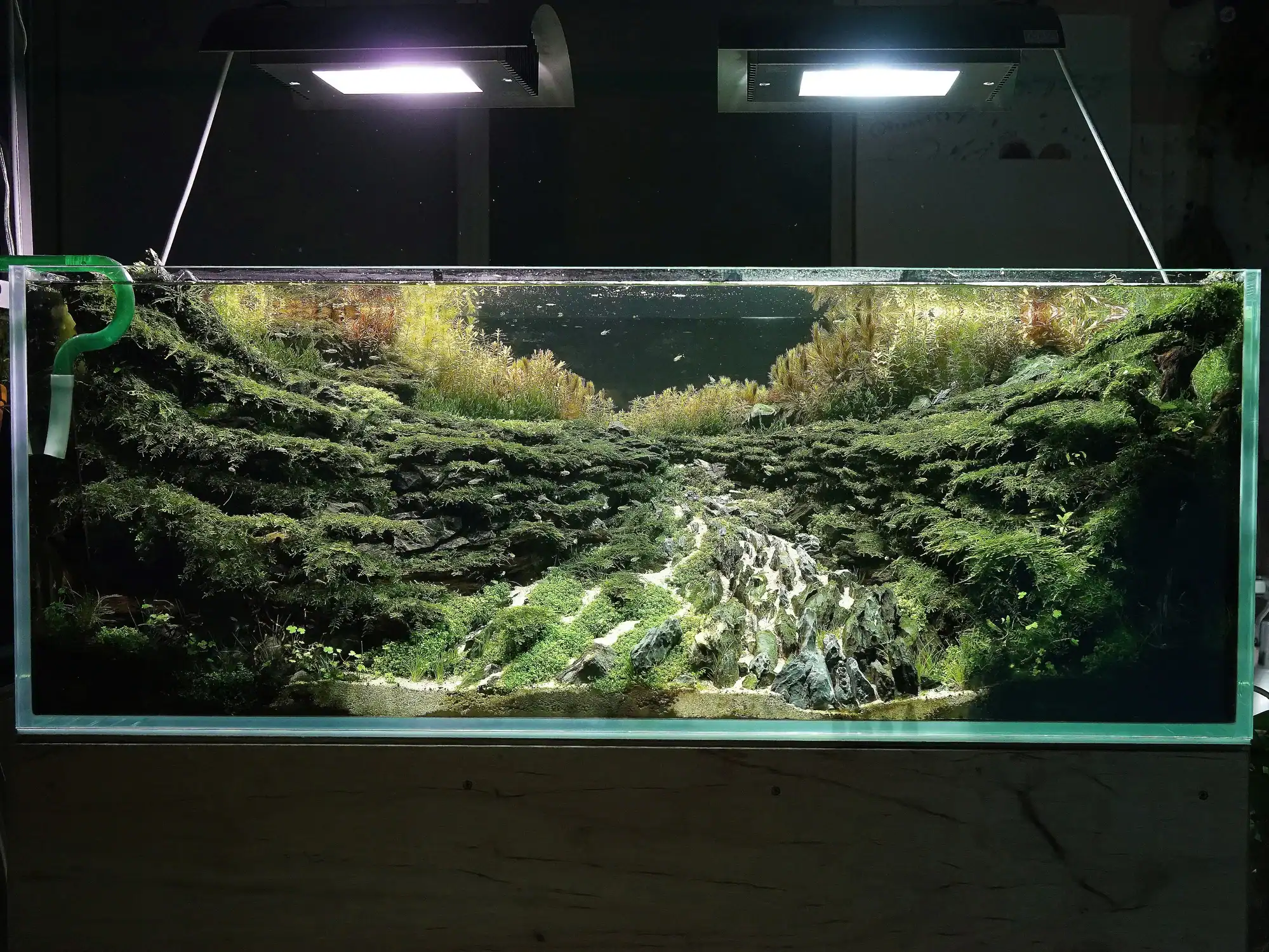 Show grade aquascape aquarium design created by experts in UAE