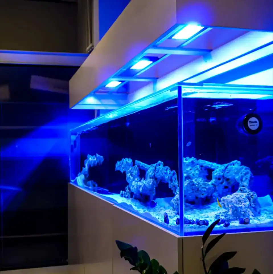 Luxury custom aquarium with blue LED lighting installed in Dubai