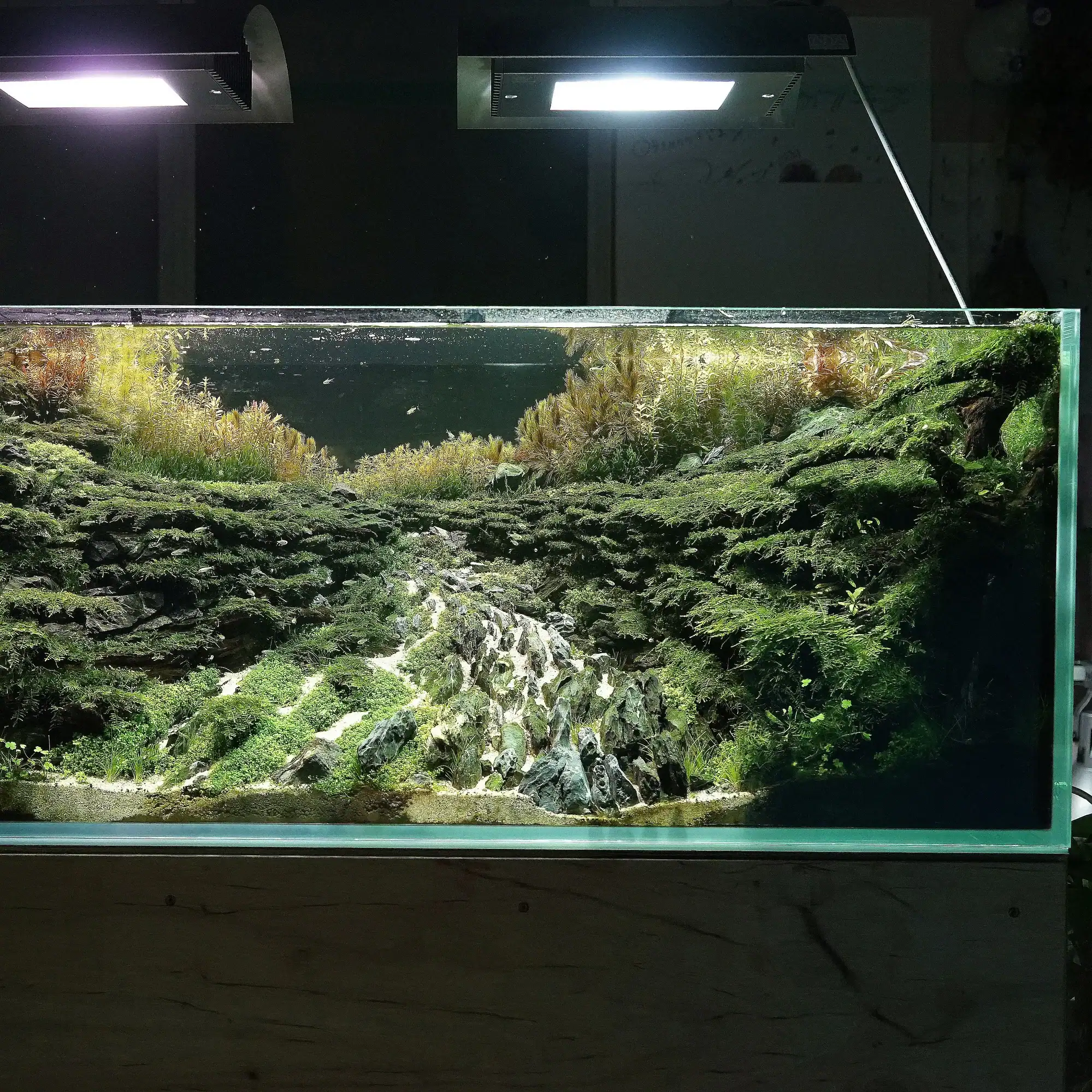 Nature inspired aquascape aquarium design with plants and stone layout in Dubai