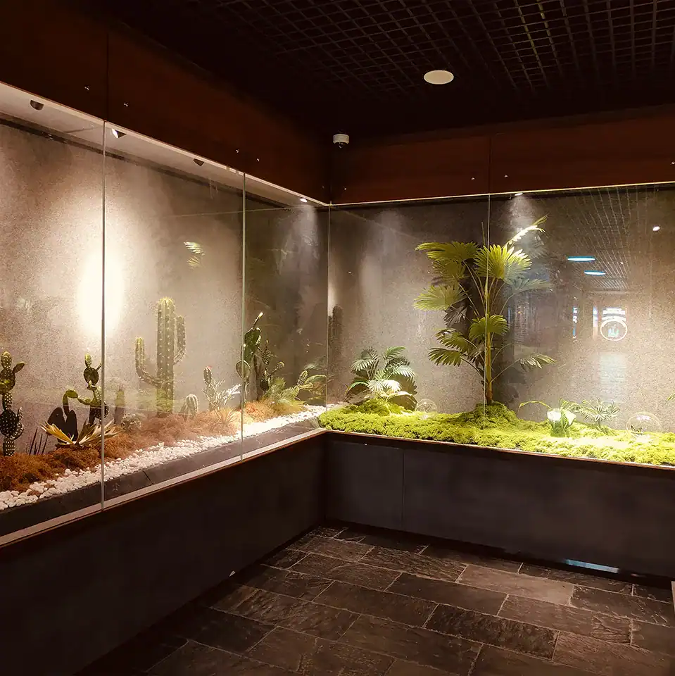 Minimalist aquascaping tank designed with natural depth and contrast in UAE